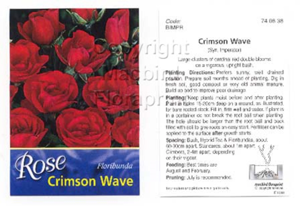 Picture of ROSE CRIMSON WAVE SYN IMPERATOR (FL)                                                                                                                  