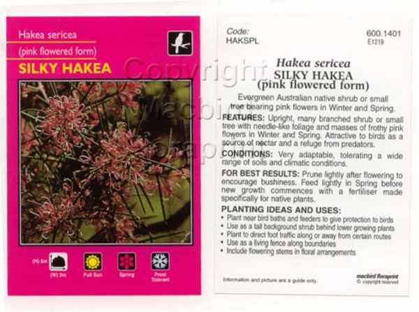 Picture of HAKEA SERICEA PINK                                                                                                                                    