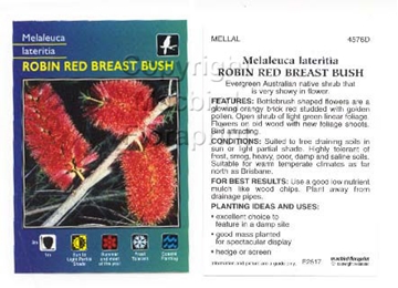Picture of MELALEUCA LATERITIA ROBIN RED BREAST BUSH                                                                                                             