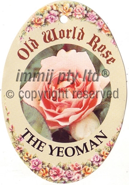 Picture of ROSE THE YEOMAN (OW)                                                                                                                                  