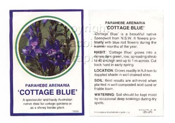 Picture of PARAHEBE ARENARIA COTTAGE BLUE                                                                                                                        