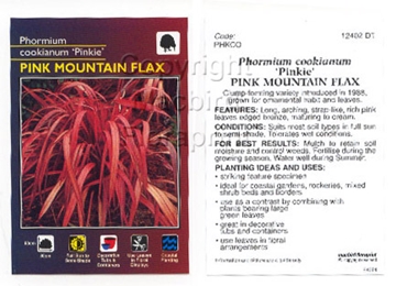 Picture of PHORMIUM COOKIANUM PINKIE PINK MOUNTAIN FLAX                                                                                                          