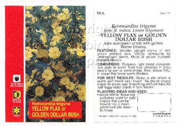 Picture of REINWARDTIA GOLDEN DOLLAR BUSH                                                                                                                        