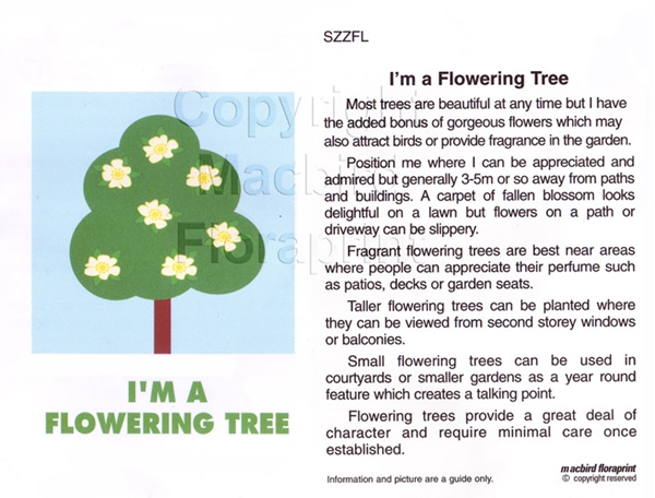 Picture of I&#39;M A FLOWERING TREE                                                                                                                              