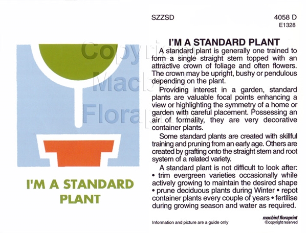Picture of I&#39;M A STANDARD PLANT                                                                                                                              