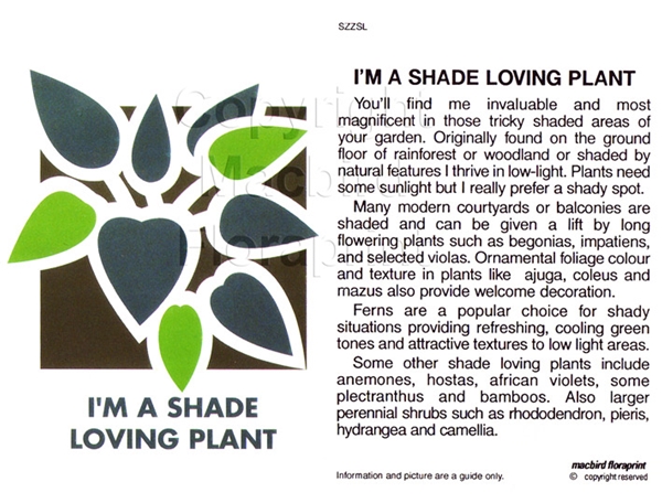 Picture of I&#39;M A SHADE LOVING PLANT                                                                                                                          
