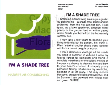 Picture of I&#39;M A SHADE TREE                                                                                                                                  