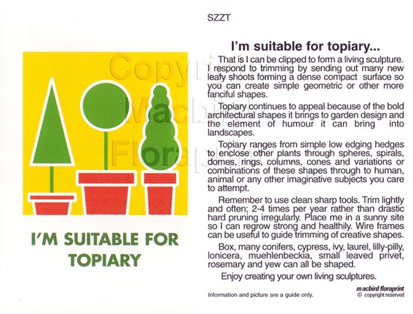 Picture of I&#39;M SUITABLE FOR TOPIARY                                                                                                                          