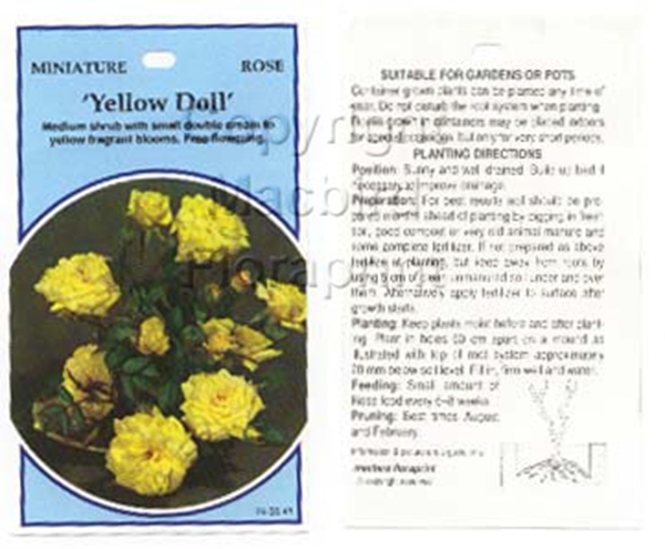 Picture of ROSE MINI YELLOW DOLL                                                                                                                                 