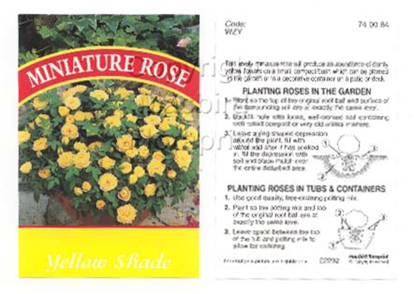 Picture of ROSE MINI YELLOW SHADE (UNNAMED VARIETY)                                                                                                              