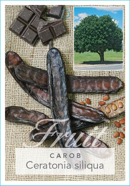 Picture of FRUIT CAROB                                                                                                                                           