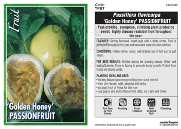 Picture of FRUIT PASSIONFRUIT GOLDEN HONEY                                                                                                                       