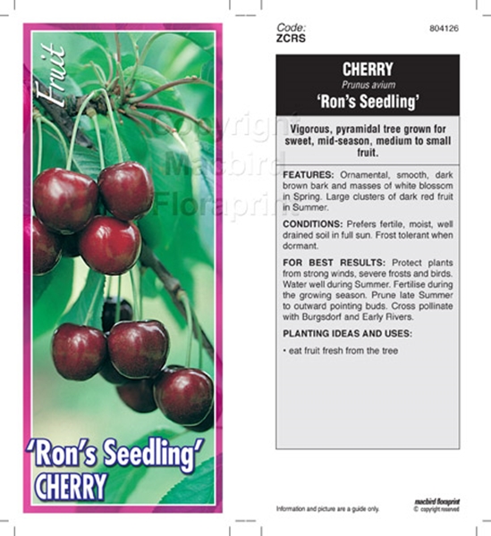 Picture of FRUIT CHERRY RONS SEEDLING (HERITAGE) Jumbo Tag                                                                                                       