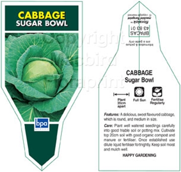 Picture of VEGETABLE CABBAGE SUGAR BOWL                                                                                                                          