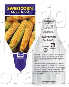 Picture of VEGETABLE SWEET CORN COBB &amp; CO (Zea mays)                                                                                                         