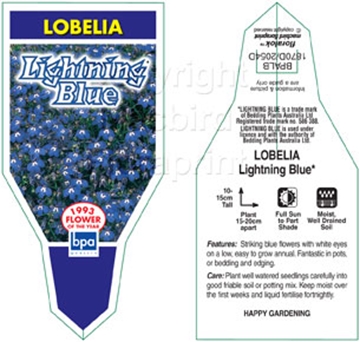 Picture of ANNUAL LOBELIA LIGHTNING BLUE (Lobelia erinus)                                                                                                        