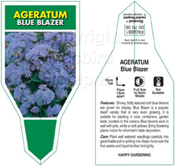 Picture of ANNUAL AGERATUM BLUE BLAZER (Ageratum houstonianum)                                                                                                   