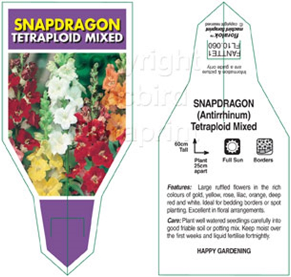 Picture of SNAPDRAGON TETRAPLOID MIXED                                                                                                                           