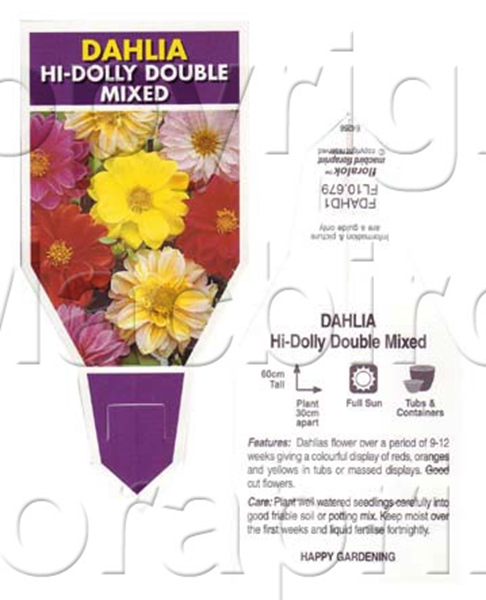 Picture of ANNUAL DAHLIA HI DOLLY DOUBLE MIXED                                                                                                                   