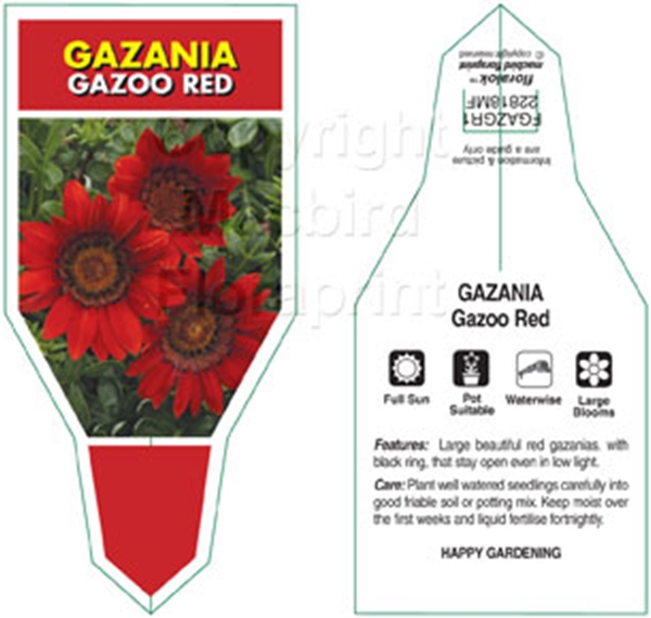 Picture of ANNUAL GAZANIA GAZOO RED                                                                                                                              