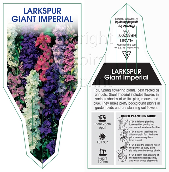 Picture of ANNUAL LARKSPUR GIANT IMPERIAL                                                                                                                        