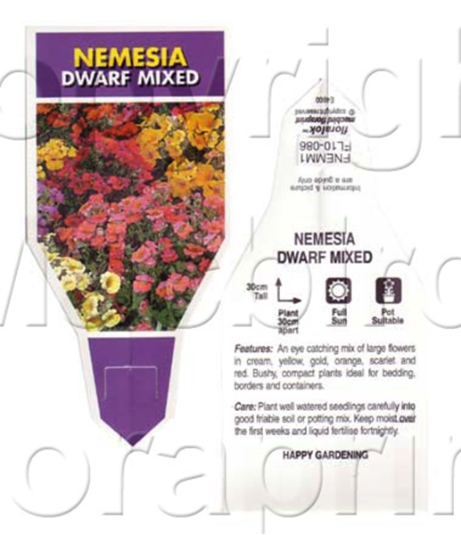 Picture of ANNUAL NEMESIA DWARF MIXED                                                                                                                            
