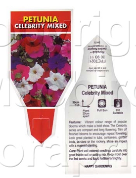 Picture of ANNUAL PETUNIA CELEBRITY MIXED (Petunia x hybrida)                                                                                                    