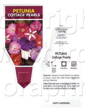 Picture of ANNUAL PETUNIA COTTAGE PEARLS MIXED (Petunia x hybrida)                                                                                               