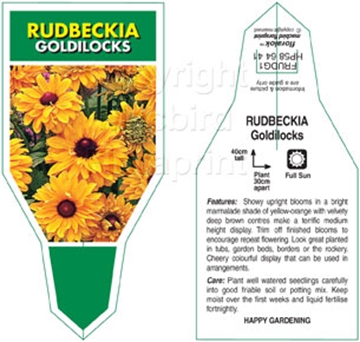 Picture of RUDBECKIA GOLDILOCKS                                                                                                                                  