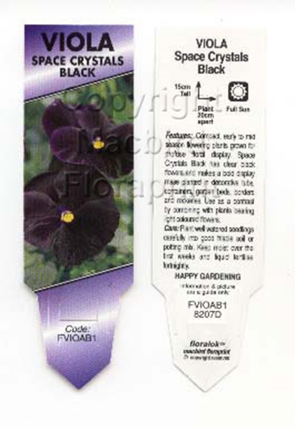 Picture of ANNUAL VIOLA CLEAR CRYSTALS BLACK (Viola cornuta)                                                                                                     