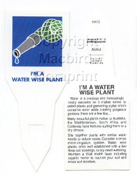 Picture of I&#39;M A WATER WISE PLANT                                                                                                                            