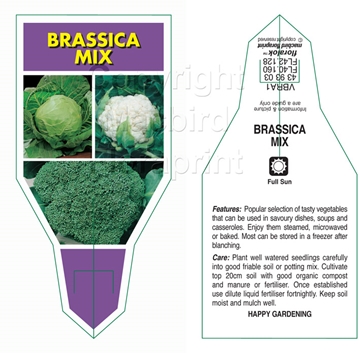 Picture of VEGETABLE BRASSICA MIXED PICTURE (Brassica Sp.)                                                                                                       