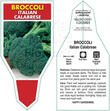 Picture of VEGETABLE BROCCOLI ITALIAN CALABRESE                                                                                                                  