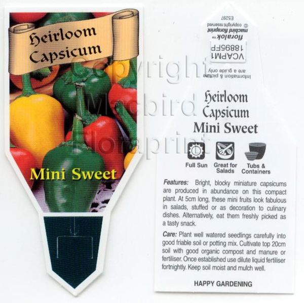 Picture of VEGETABLE CAPSICUM HEIRLOOM MINI SWEET (Capsicum annuum)                                                                                              