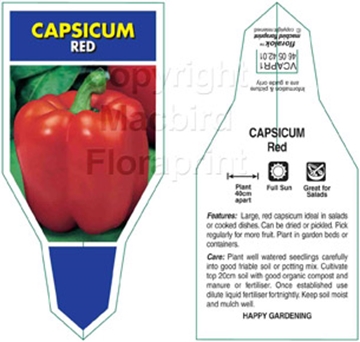 Picture of VEGETABLE CAPSICUM RED (Capsicum annuum)                                                                                                              