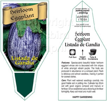 Picture of VEGETABLE EGGPLANT HEIRLOOM LISTADA DE GANDIA (Solanum melongena)                                                                                     
