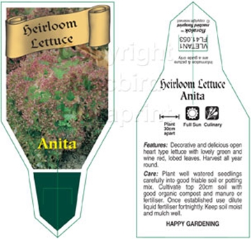 Picture of VEGETABLE LETTUCE HEIRLOOM ANITA (Lactuca sativa)                                                                                                     