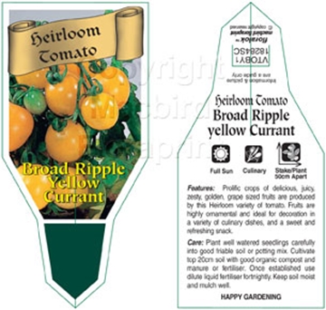 Picture of VEGETABLE TOMATO HEIRLOOM BROAD RIPPLE YELLOW CURRANT (Lycopersicon es                                                                                