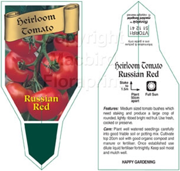 Picture of VEGETABLE TOMATO HEIRLOOM RUSSIAN RED (Lycopersicon esculentum)                                                                                       