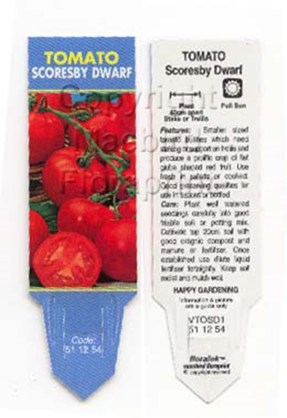 Picture of VEGETABLE TOMATO SCORESBY DWARF - use VTOK1                                                                                                           