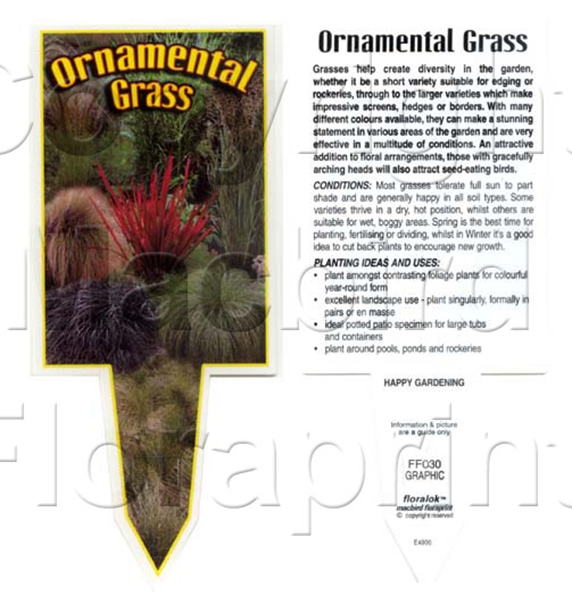 Picture of GRASS ORNAMENTAL                                                                                                                                      