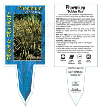 Picture of PHORMIUM GOLDEN RAY                                                                                                                                   