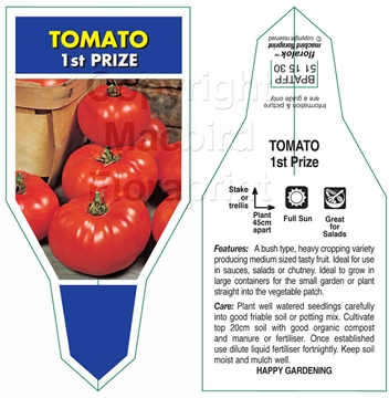 Picture of VEGETABLE TOMATO FIRST PRIZE (Lycopersicon esculentum)                                                                                                