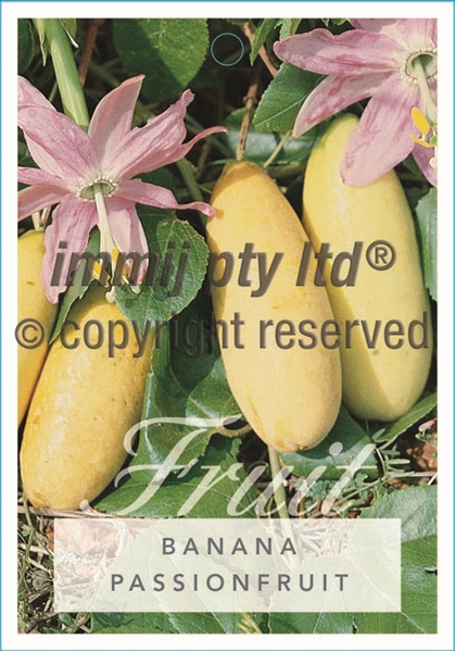Picture of FRUIT PASSIONFRUIT BANANA                                                                                                                             