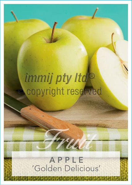 Picture of FRUIT APPLE GOLDEN DELICIOUS Jumbo Tag                                                                                                                