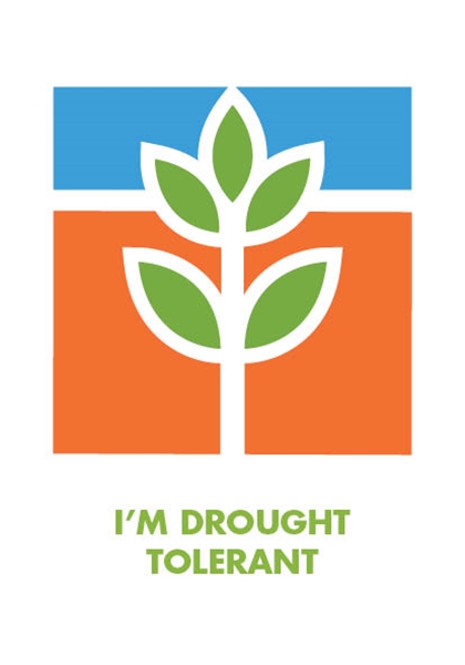 Picture of I&#39;M DROUGHT TOLERANT                                                                                                                              