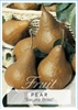 Picture of FRUIT PEAR BEURRE BOSC (HERITAGE) Jumbo Tag                                                                                                           