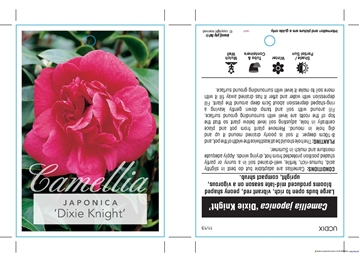 Picture of CAMELLIA DIXIE KNIGHT                                                                                                                                 
