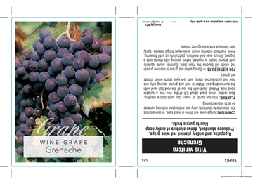 Picture of FRUIT GRAPE WINE GRENACHE                                                                                                                             