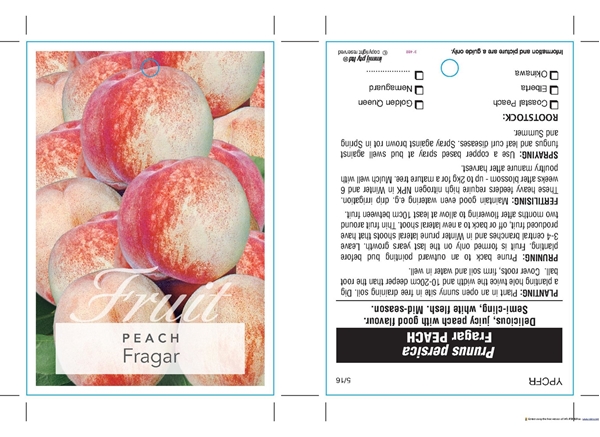 Picture of FRUIT PEACH FRAGAR (HERITAGE)                                                                                                                         
